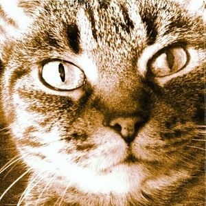 Meet your Posher, Cory